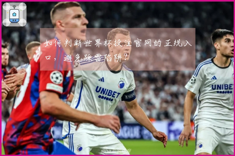如何判断世界杯投注官网的正规入口，避免踩雷陷阱？