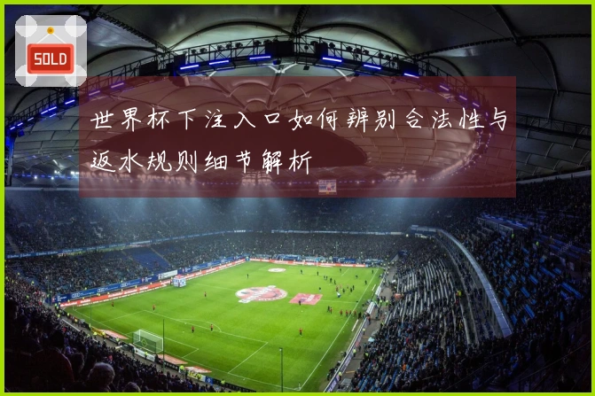 世界杯下注入口如何辨别合法性与返水规则细节解析