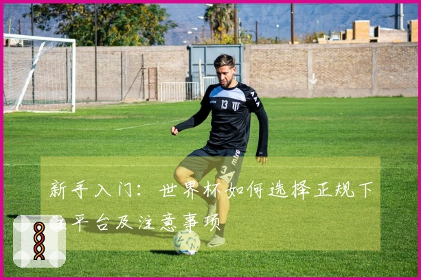 新手入门：世界杯如何选择正规下注平台及注意事项