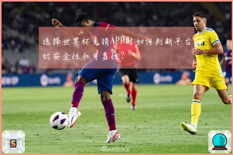 选择世界杯竞猜APP时如何判断平台的安全性和可靠性？