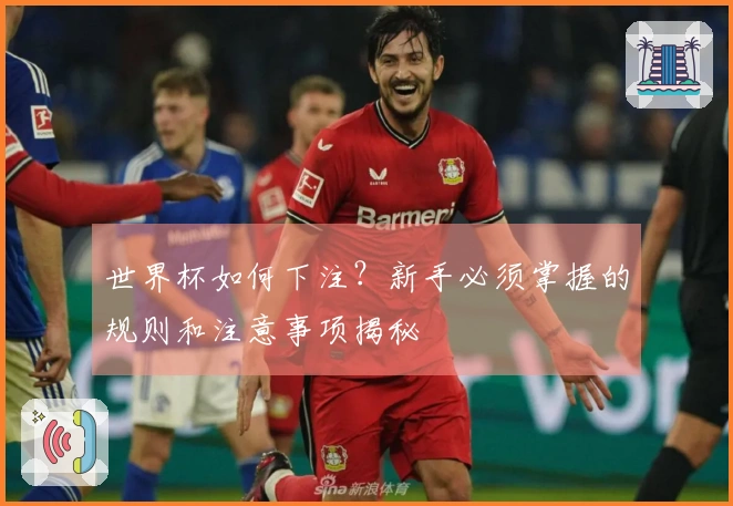 世界杯如何下注？新手必须掌握的规则和注意事项揭秘