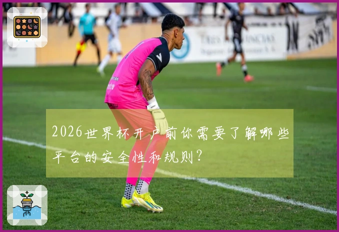 2026世界杯开户前你需要了解哪些平台的安全性和规则？