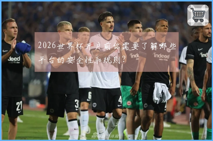 2026世界杯开户前你需要了解哪些平台的安全性和规则？