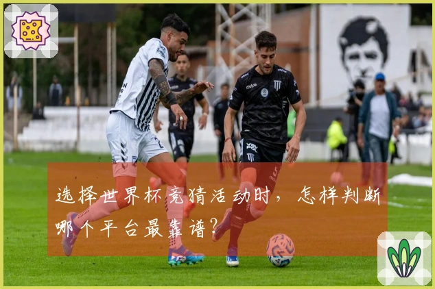 选择世界杯竞猜活动时，怎样判断哪个平台最靠谱？