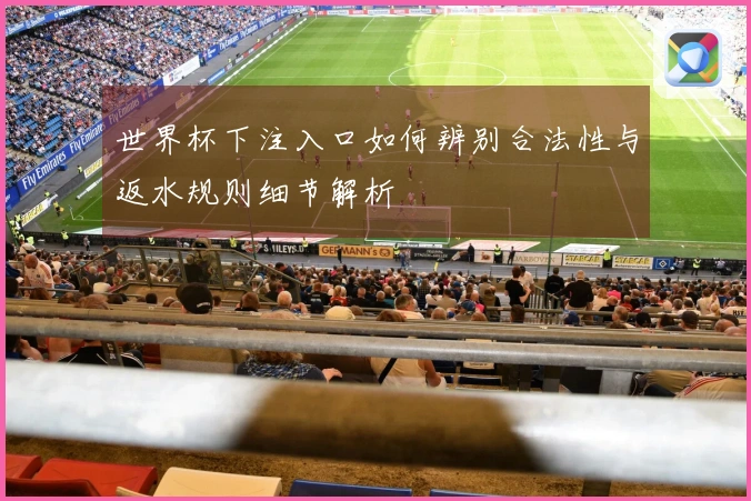 世界杯下注入口如何辨别合法性与返水规则细节解析