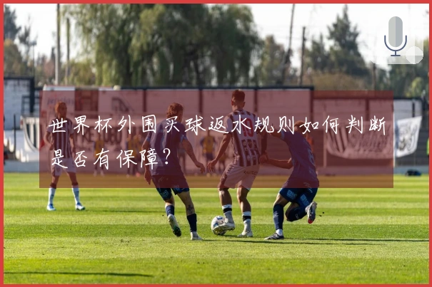 世界杯外围买球返水规则如何判断是否有保障？