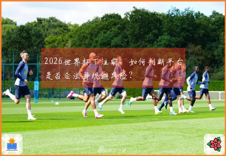 2026世界杯下注前，如何判断平台是否合法并规避风险？