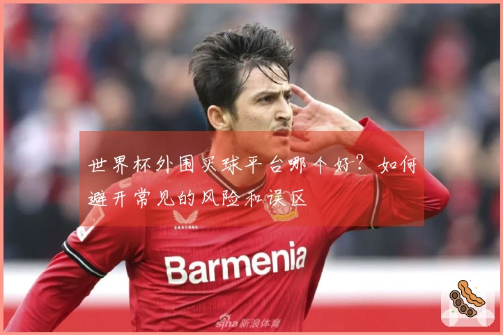 世界杯外围买球平台哪个好？如何避开常见的风险和误区
