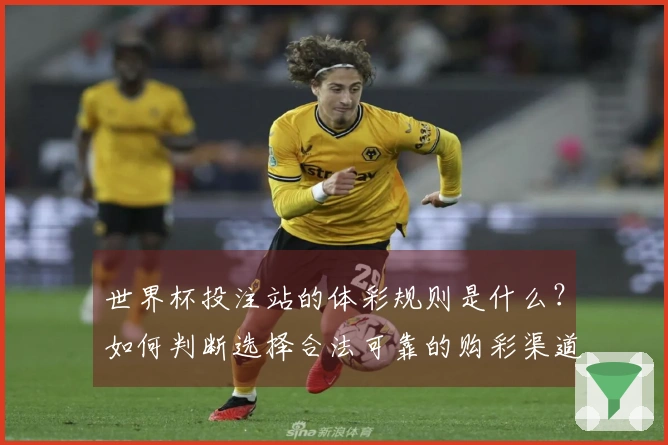 世界杯投注站的体彩规则是什么？如何判断选择合法可靠的购彩渠道？